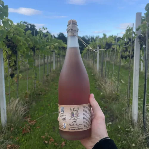 Boble lagune rosevin vesterhave vingaard hos DanishWine.com